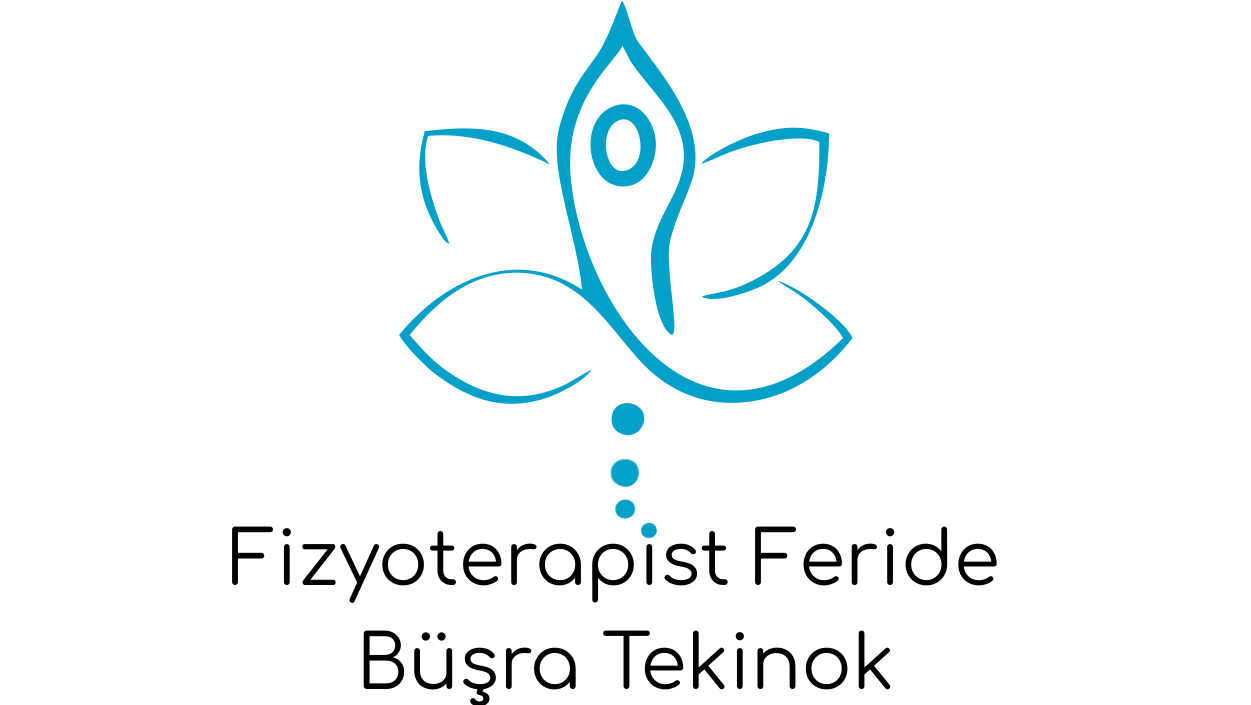 https://www.fizyoterapisttferidtekinok.com